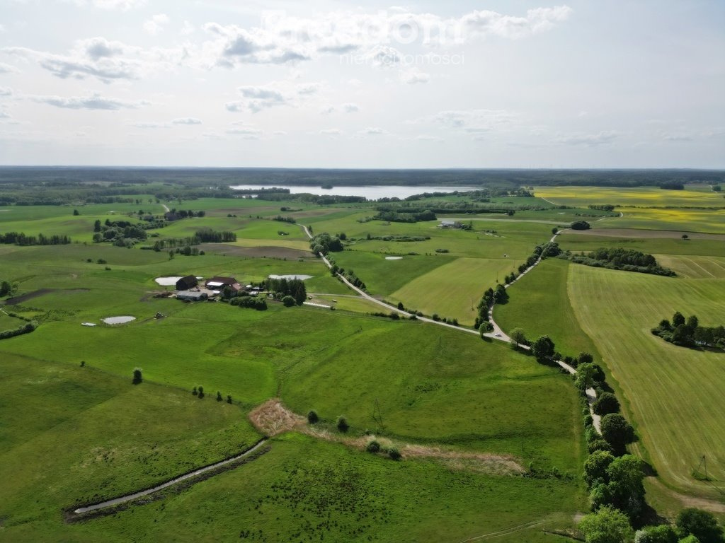 Działka inna na sprzedaż Dobrzyki  3 004m2 Foto 8