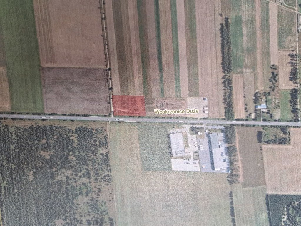 Działka inwestycyjna na sprzedaż Woskrzenice Duże  12 400m2 Foto 1