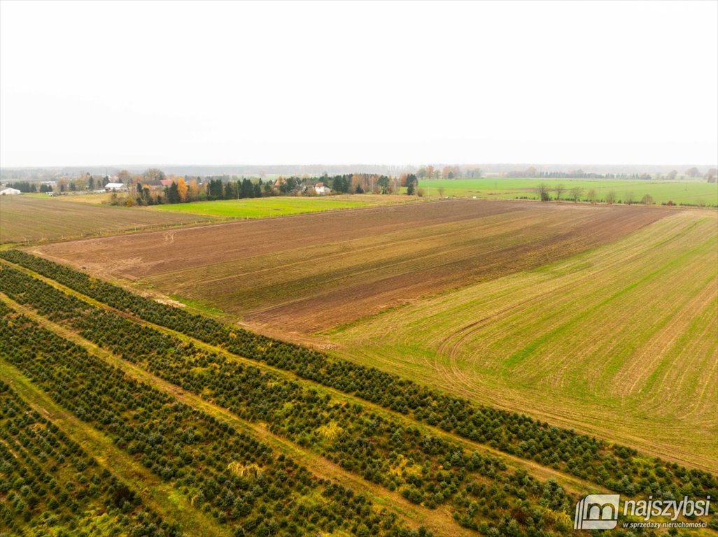 Działka budowlana na sprzedaż Węgorza, Wieś  1 498m2 Foto 13