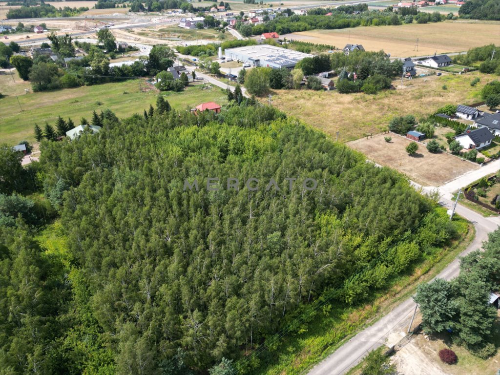 Działka budowlana na sprzedaż Załuski  4 756m2 Foto 2