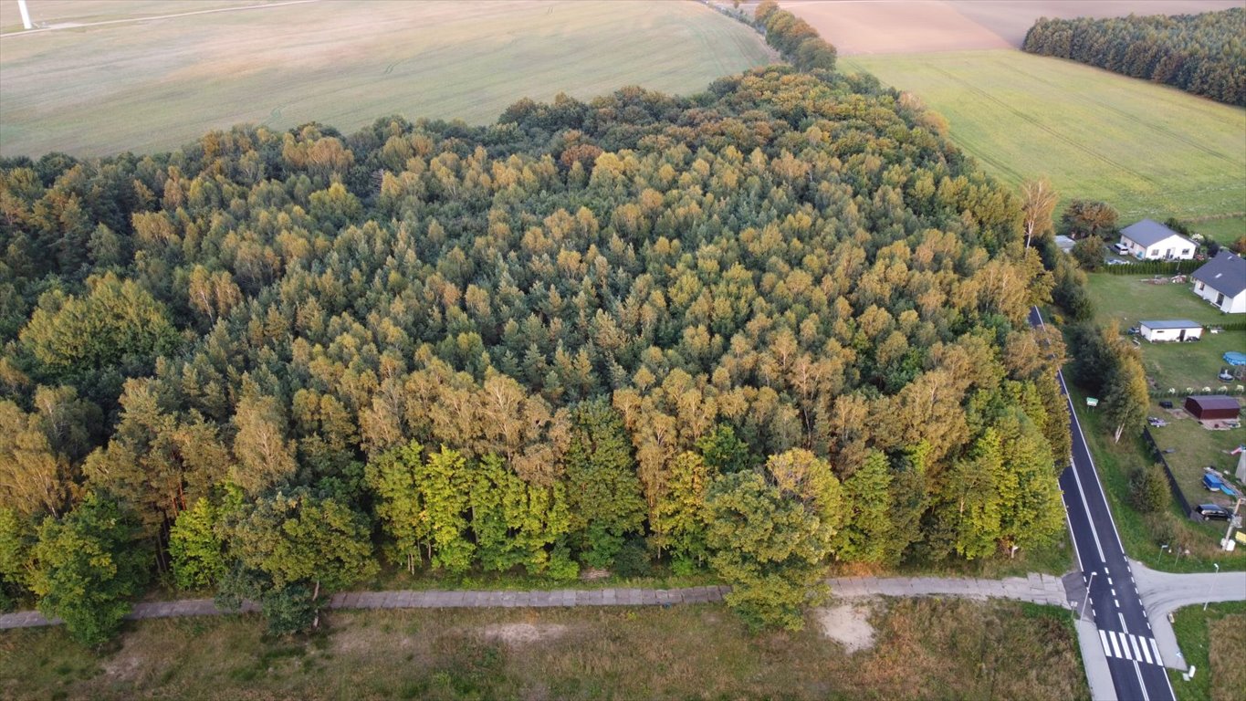 Działka leśna z prawem budowy na sprzedaż Głobino, Przy Lesie  6 200m2 Foto 2