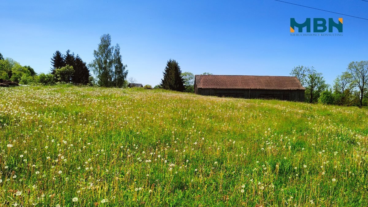 Działka rolna na sprzedaż Węgorzewo, Rudziszki  21 800m2 Foto 17