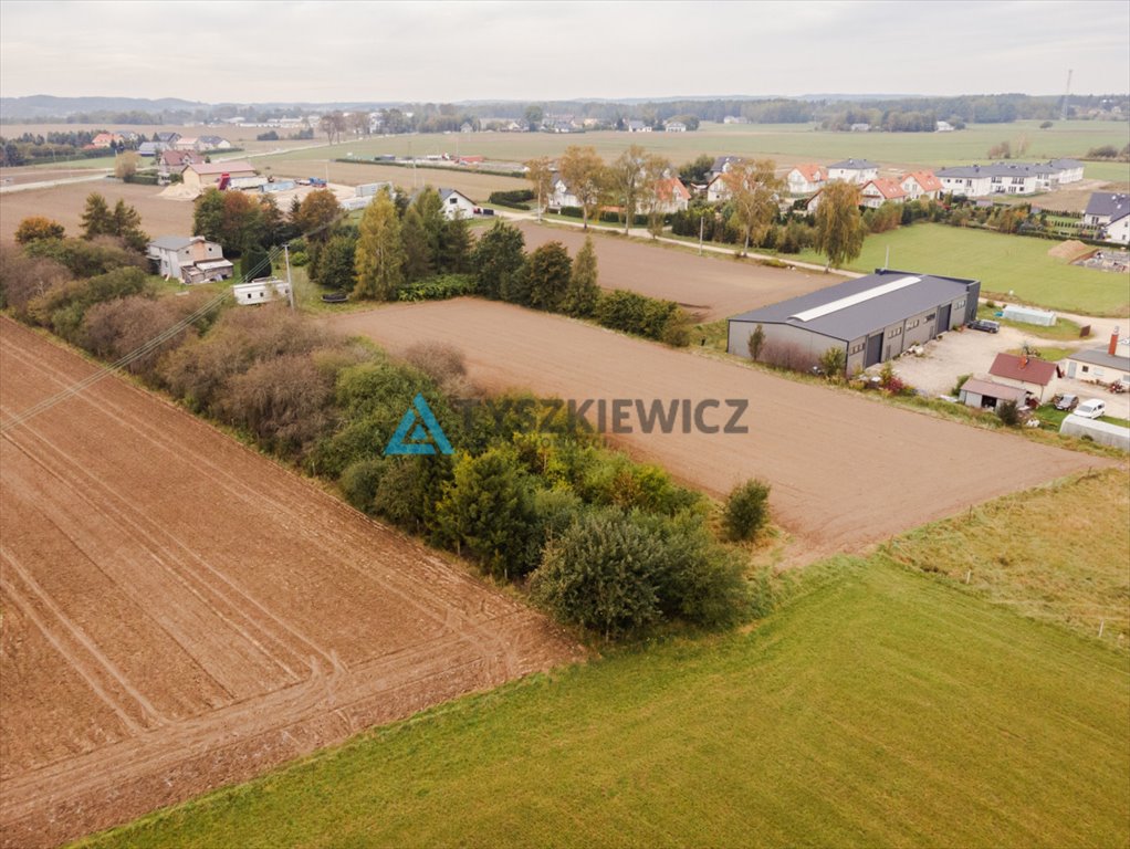 Działka rolna na sprzedaż Dobrzewino  7 071m2 Foto 6