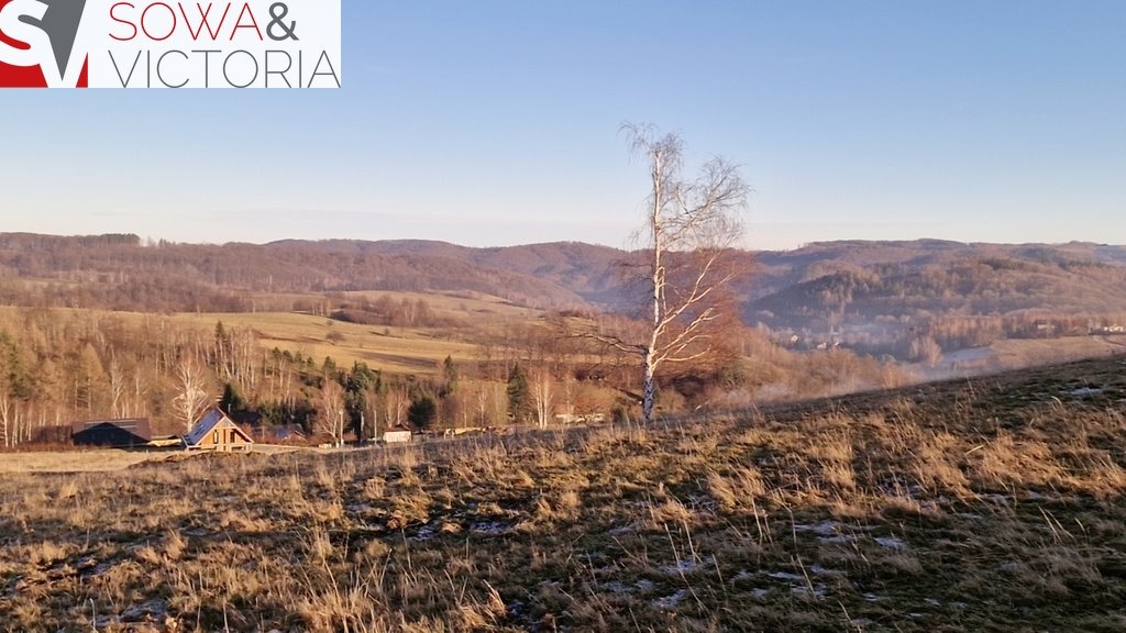 Działka inna na sprzedaż Zagórze Śląskie  32 000m2 Foto 10