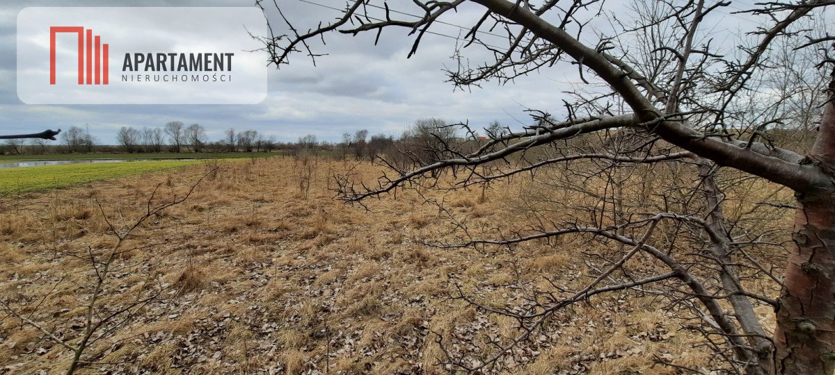 Działka budowlana na sprzedaż Zawada  2 312m2 Foto 4