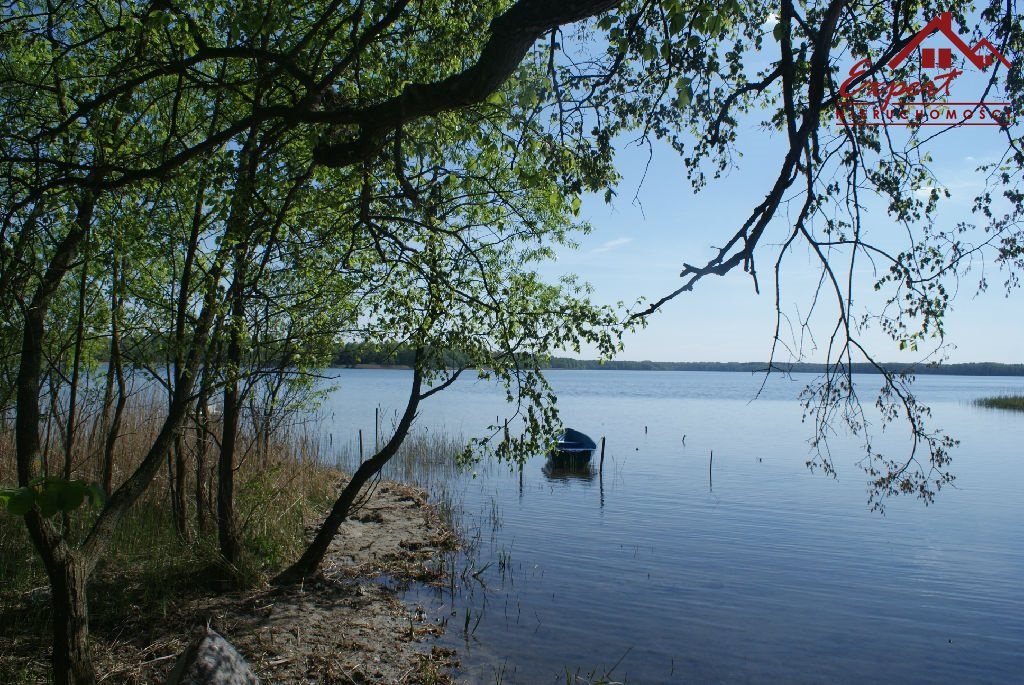 Działka inwestycyjna na sprzedaż Kretowiny  75 849m2 Foto 5