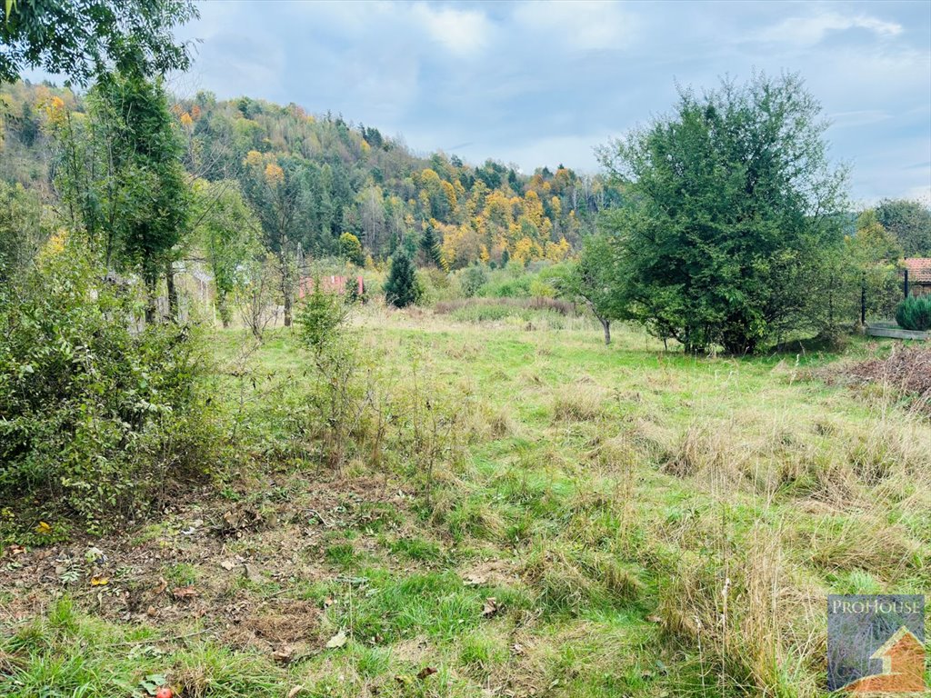 Działka budowlana na sprzedaż Kamienica  1 000m2 Foto 4