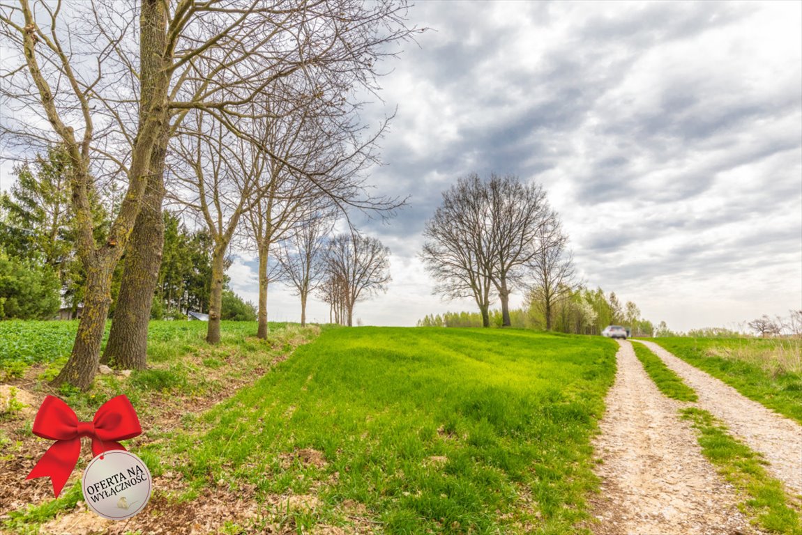 Działka rolna 3900 m² z mediami, cicha okolica Płouszowice  3 900m2 Foto 1