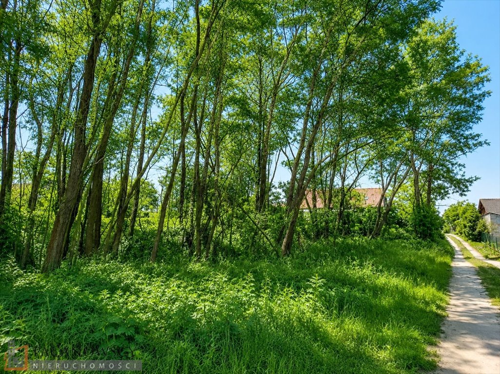 Sprzedam działkę 15,68 ara z mediami i szerokimi możliwościami rozbudowy Bibice  1 568m2 Foto 1
