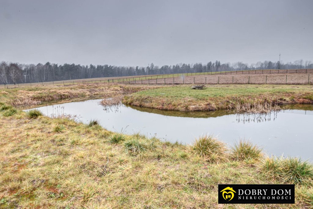 Działka siedliskowa na sprzedaż Brześcianka  10 000m2 Foto 7