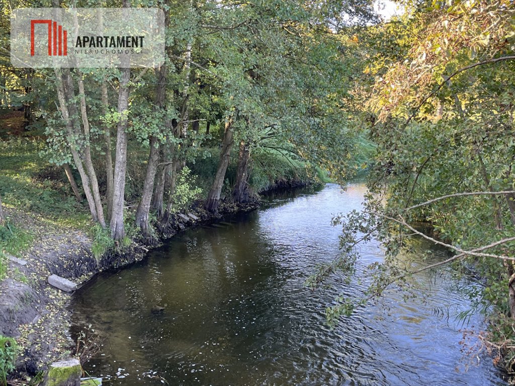 Działka gospodarstwo rolne na sprzedaż Dalewo  29 700m2 Foto 9