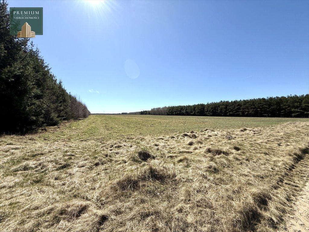 Polecam duże działki rolne w Werpolu - idealne pod inwestycję Werpol  18 100m2 Foto 1