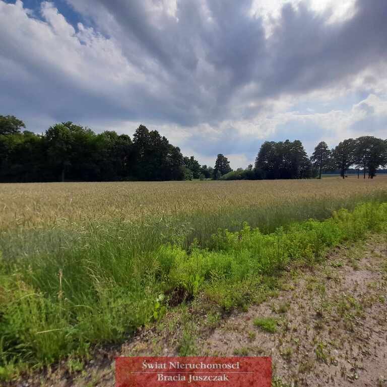 Działka budowlana na sprzedaż Ligota Polska  11 314m2 Foto 9