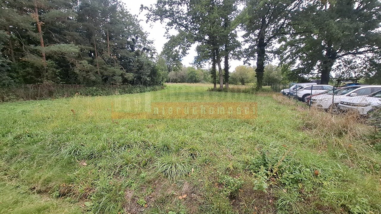 Na sprzedaż działka 800 m² z własną drogą w Dąbrowie Dąbrowa  800m2 Foto 1
