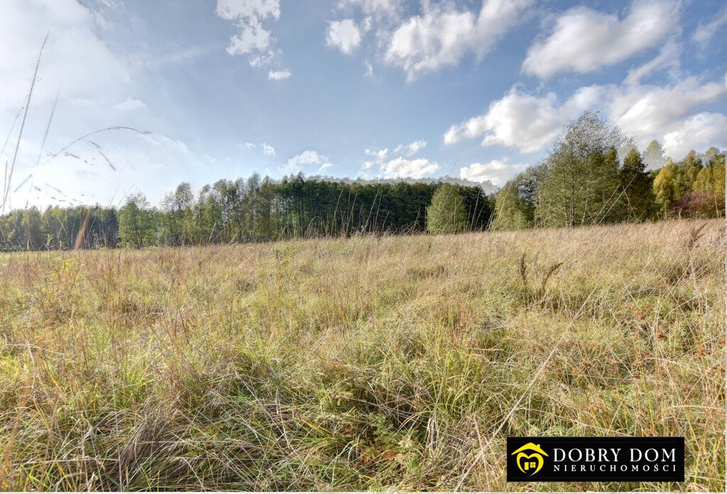 Działka budowlana na sprzedaż Hryniewicze  1 000m2 Foto 13