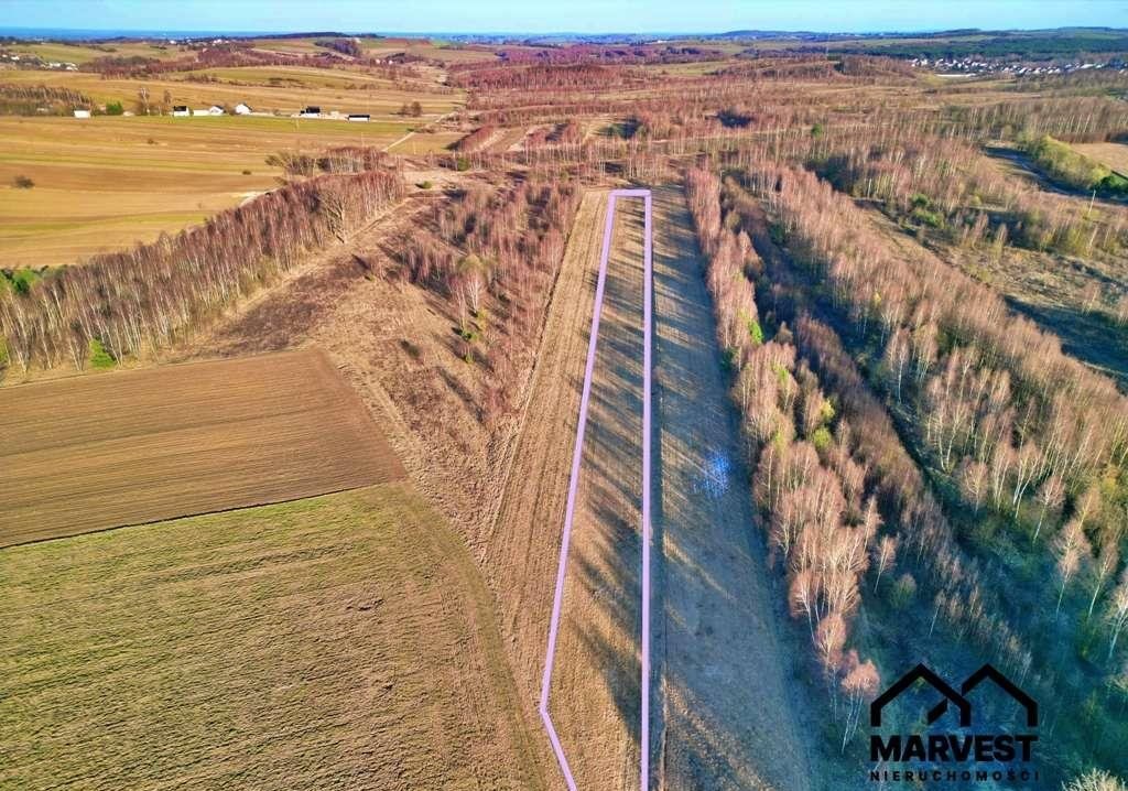Działka rolna na sprzedaż Niegowa  6 616m2 Foto 3