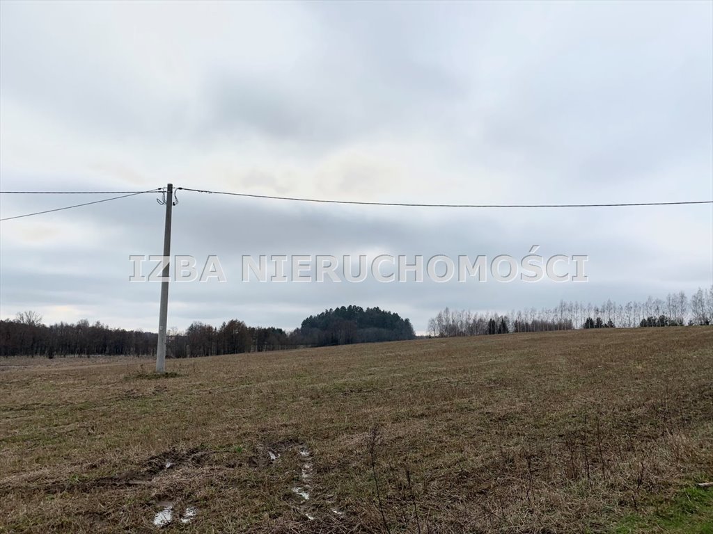 Działka rekreacyjna na sprzedaż Rękusy  3 000m2 Foto 15