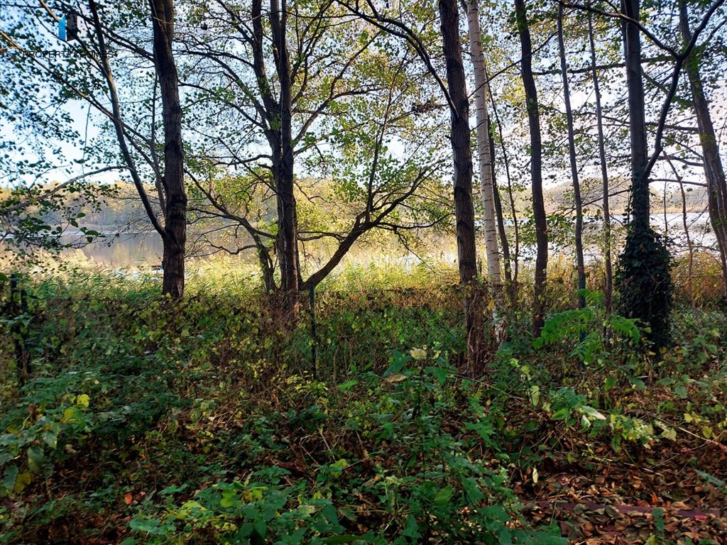 Działka rekreacyjna na sprzedaż Wiatrowo  200m2 Foto 6