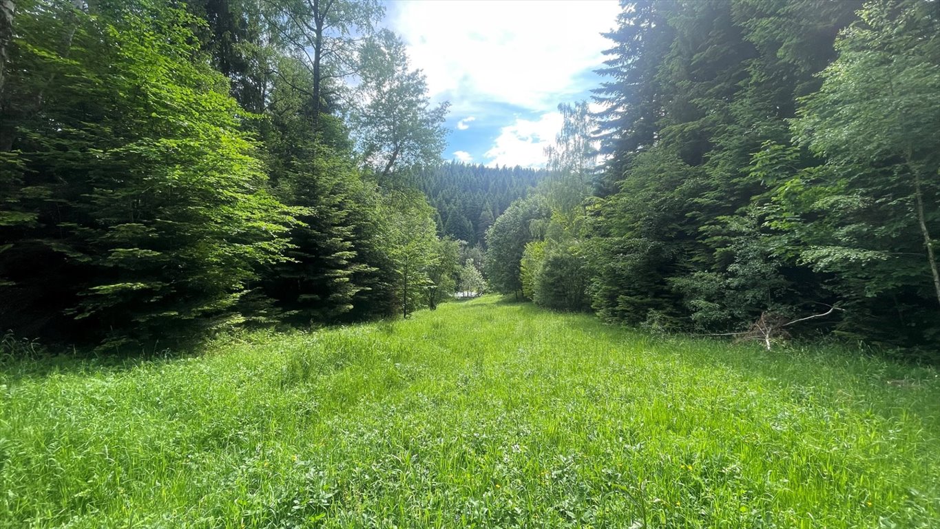 Działka 56 arów z warunkami zabudowy i możliwością podziału Krynica-Zdrój  5 600m2 Foto 1