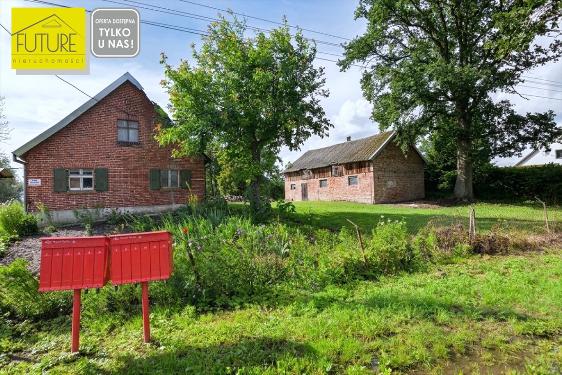 Zapraszam do domu z cegły na Żuławach z dużą działką Solnica  65m2 Foto 1