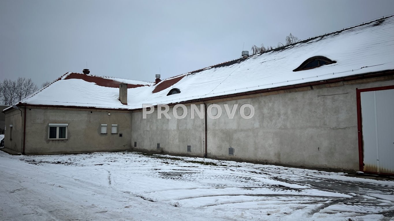 Magazyn na wynajem Legnica, Legnica, Czarny Dwór  1 000m2 Foto 7