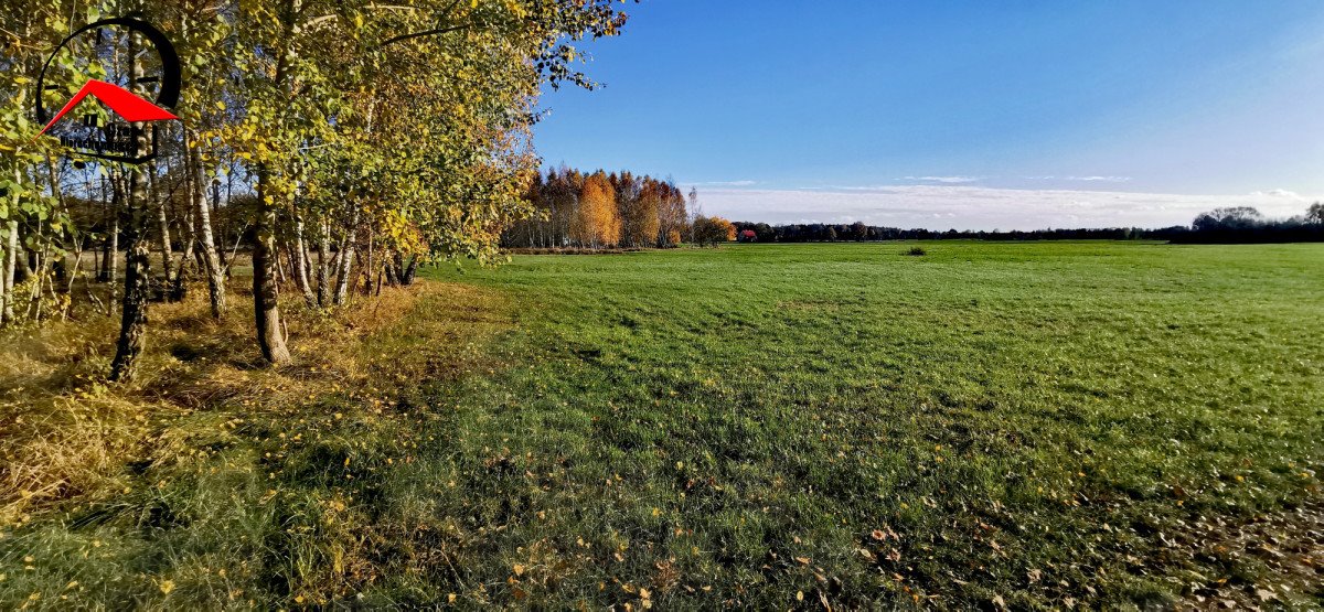 Działka gospodarstwo rolne na sprzedaż Gołąbki  138 960m2 Foto 16