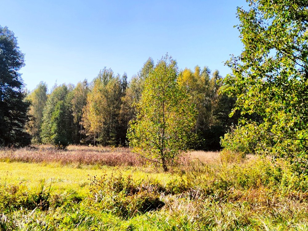 Działka budowlana na sprzedaż Gózd, Osiedlowa  1 261m2 Foto 5