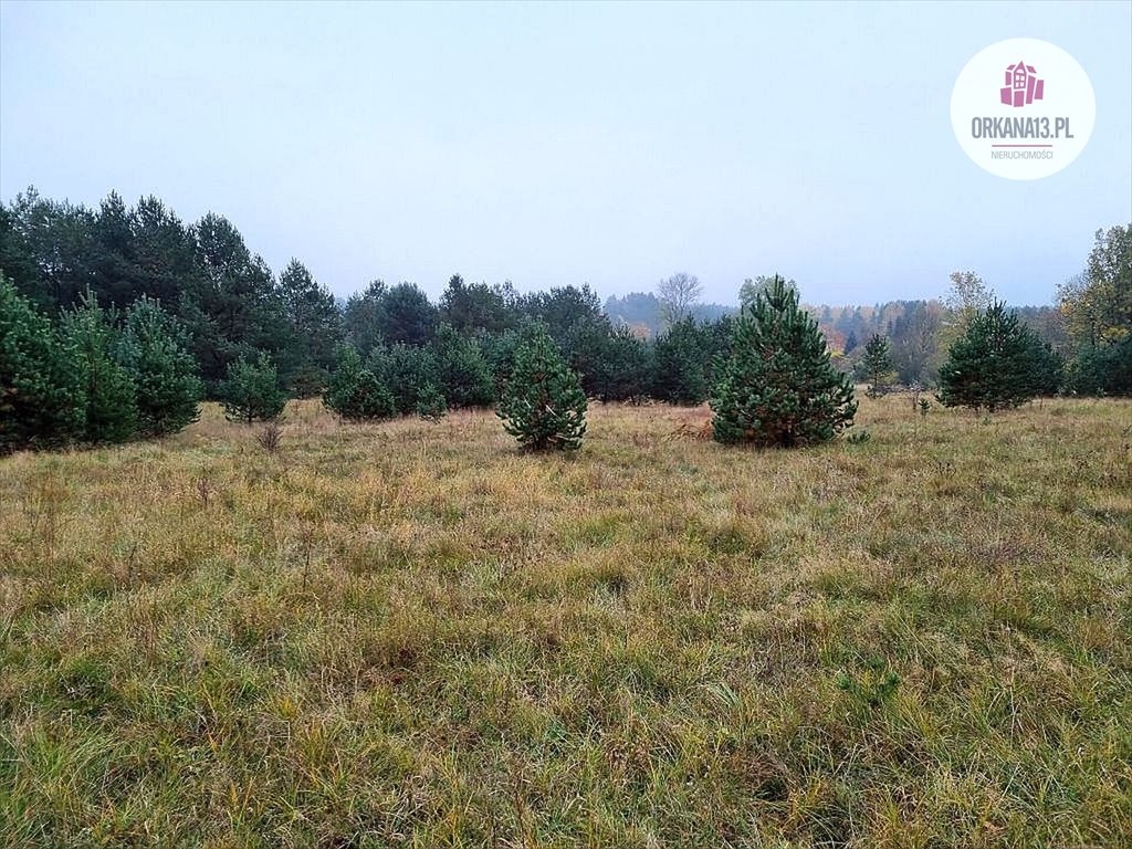 Działka 5207 m2 z warunkami zabudowy w Starej Kaletce Stara Kaletka, Stara Kaletka  5 207m2 Foto 1