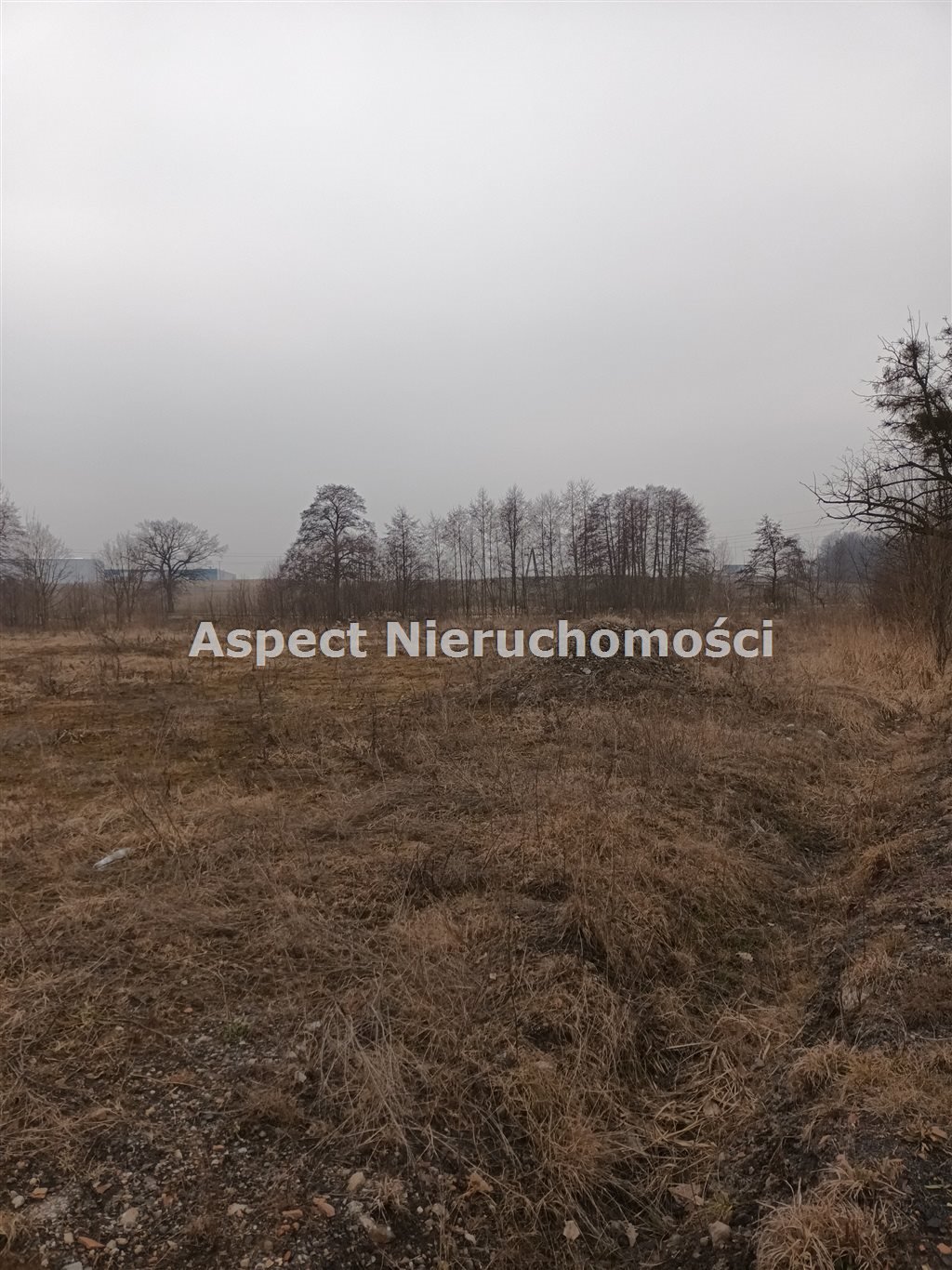 Działka budowlana na sprzedaż Żory, Baranowice  6 569m2 Foto 5