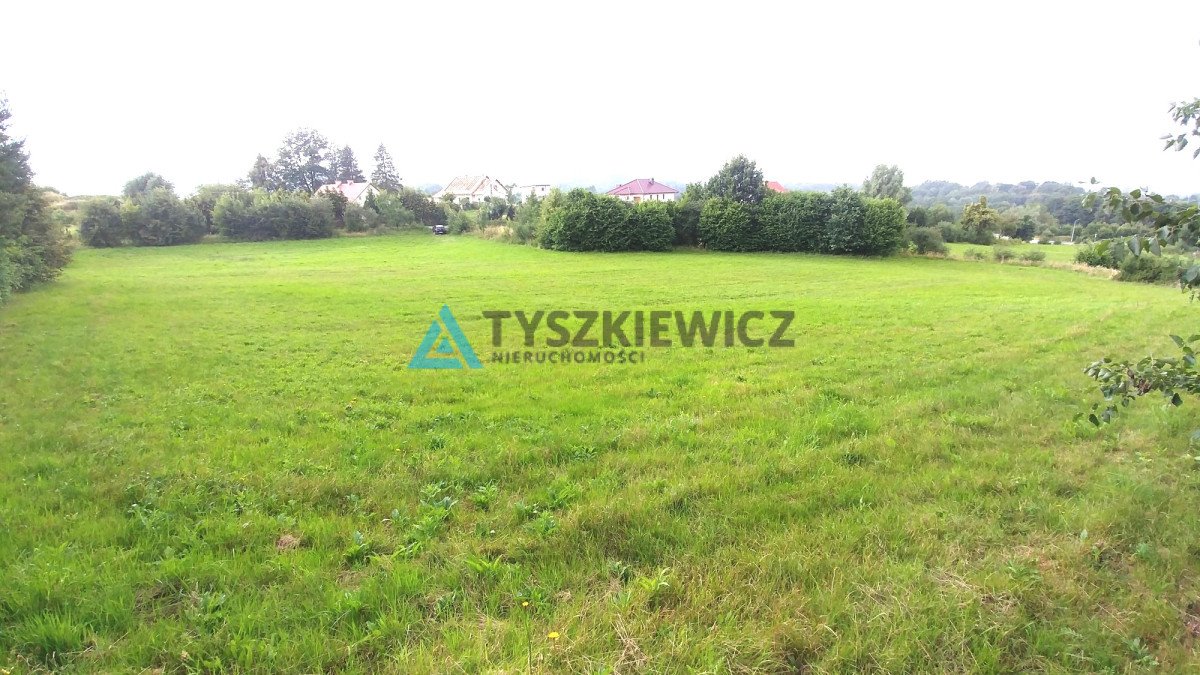 Działka rolna na sprzedaż Bielkówko, Miechucińska  7 300m2 Foto 2