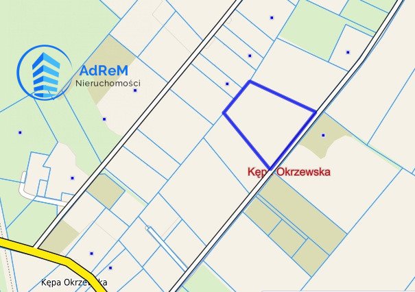 Działka rolna na sprzedaż Kępa Okrzewska  5 000m2 Foto 1