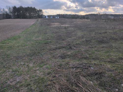 Działka 1800 m2 przy lesie, blisko Tężni w Ciechocinku. Ciechocinek, Bajeczna  1 800m2 Foto 1