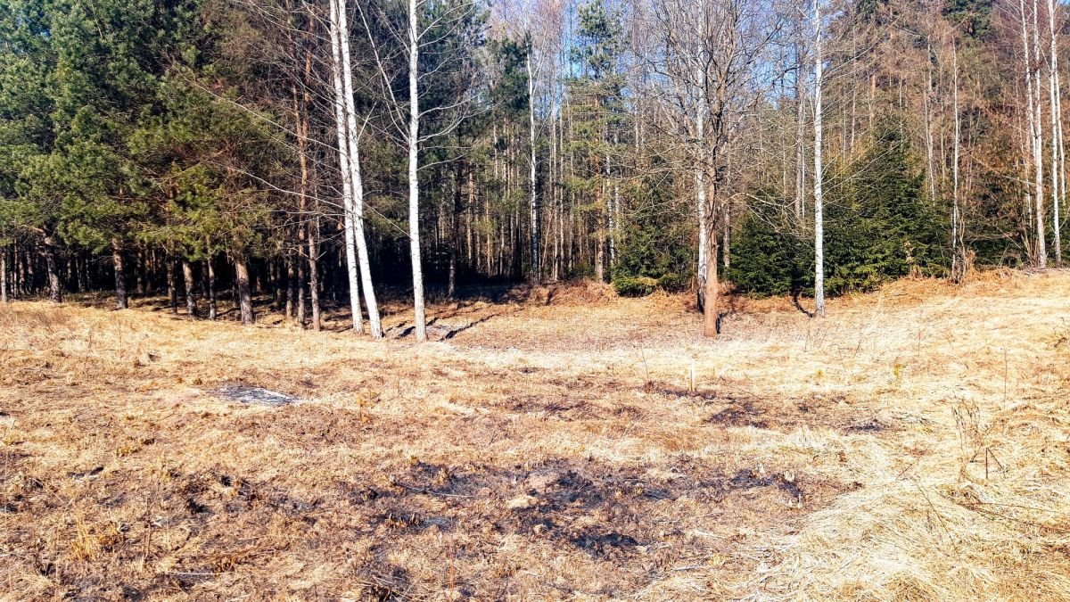 Działka budowlana na sprzedaż Mołowiste  1 050m2 Foto 3