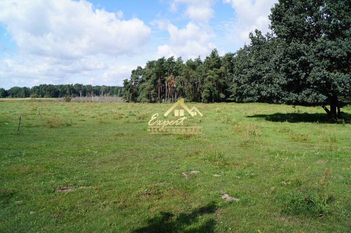 Zdjęcie 6