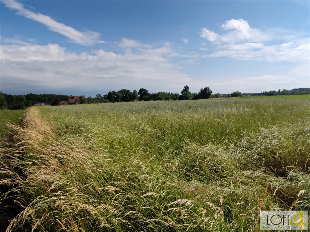 Działka inna na sprzedaż Dąbrowa Tarnowska, Żabieńska, Bagienica  1 850m2 Foto 2