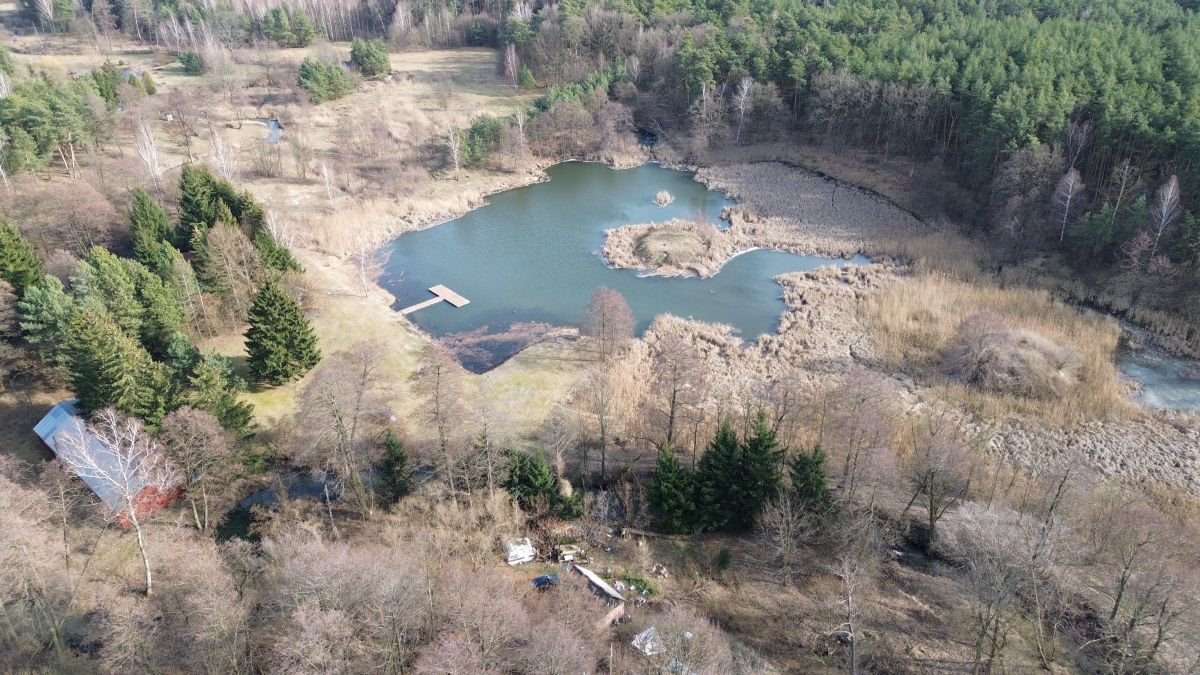 Lokal użytkowy na sprzedaż Tartak  52 600m2 Foto 36