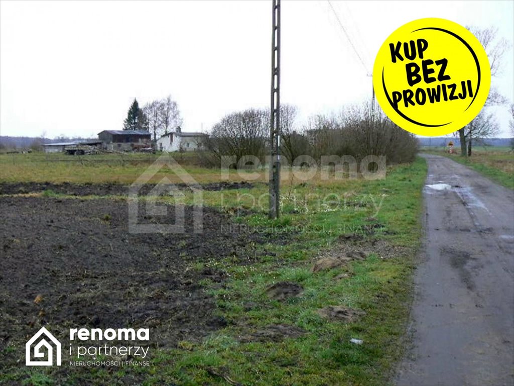 Działka siedliskowa na sprzedaż Sińczyca  10 400m2 Foto 2