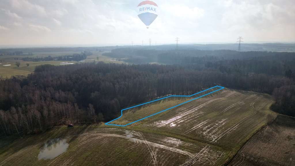 Działka budowlana na sprzedaż Ełganowo  6 500m2 Foto 2