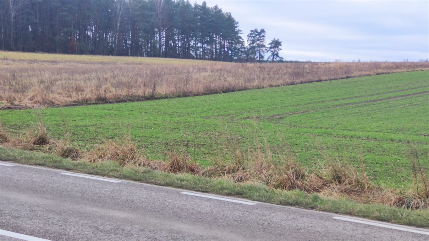 Działka rolna na sprzedaż Kuleszewo  26 163m2 Foto 9