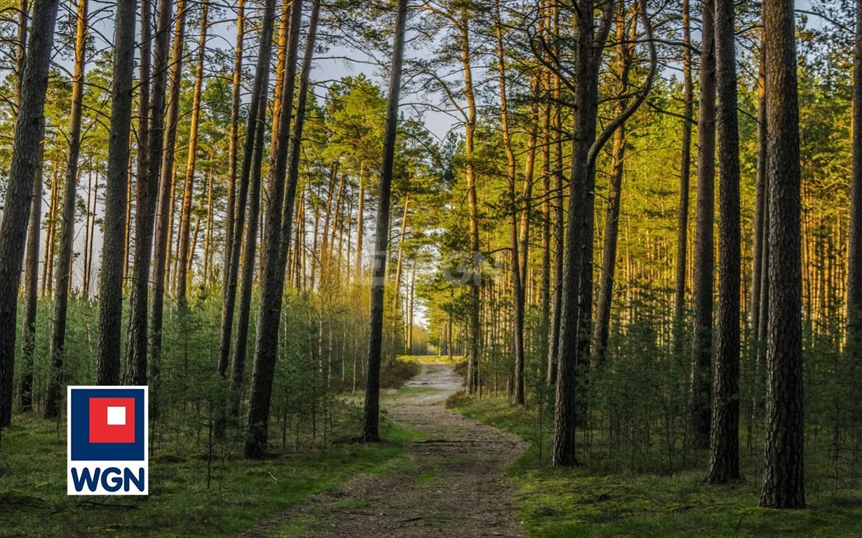 Działka leśna na sprzedaż Sadowiec  1 428m2 Foto 2