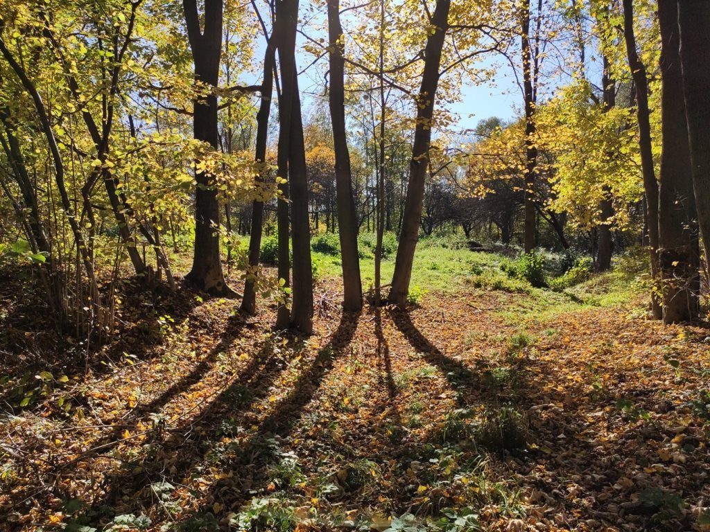 Działka budowlana na sprzedaż Przenosza 2 800m2 Foto 1 Działka budowlana na sprzedaż Przenosza 2 800m2 Foto 1