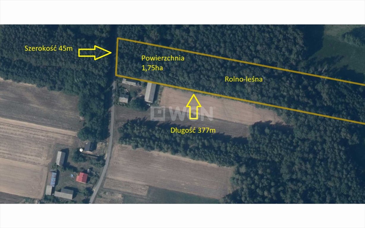Na sprzedaż działka leśno-rolna 1,7 ha w Borkach Borki, 74/2  17 000m2 Foto 1