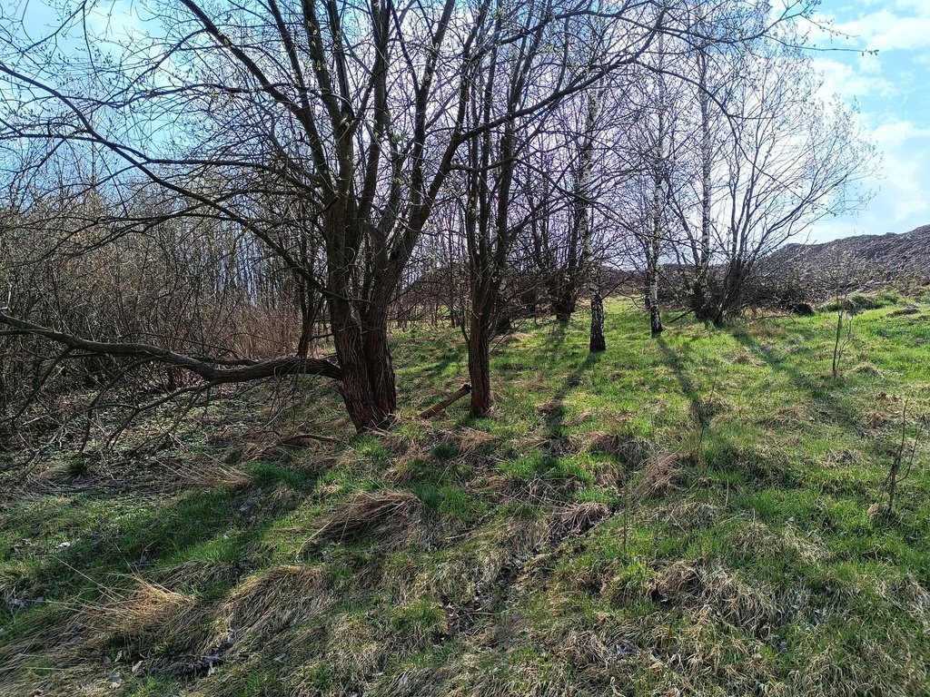 Działka budowlana na sprzedaż Gostków  5 179m2 Foto 2