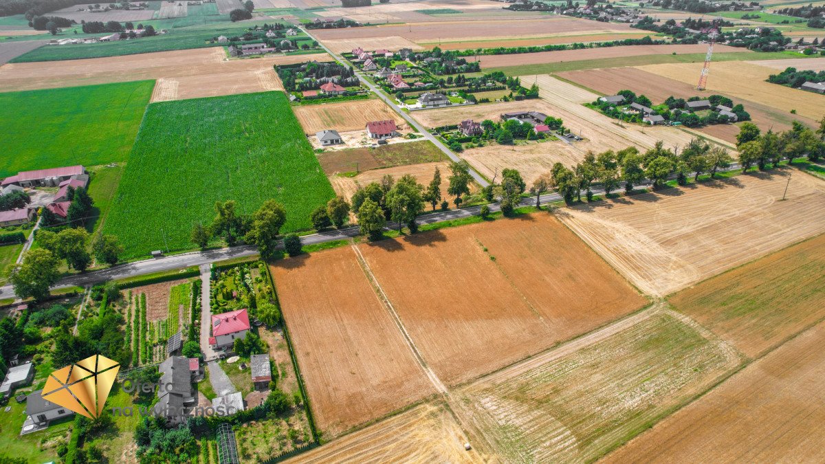 Działka budowlana na sprzedaż Krasienin-Kolonia  3 500m2 Foto 4