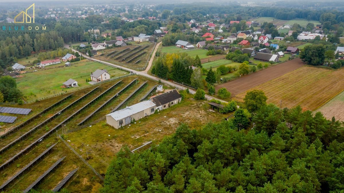 Działka budowlana na sprzedaż Milejczyce  5 391m2 Foto 6