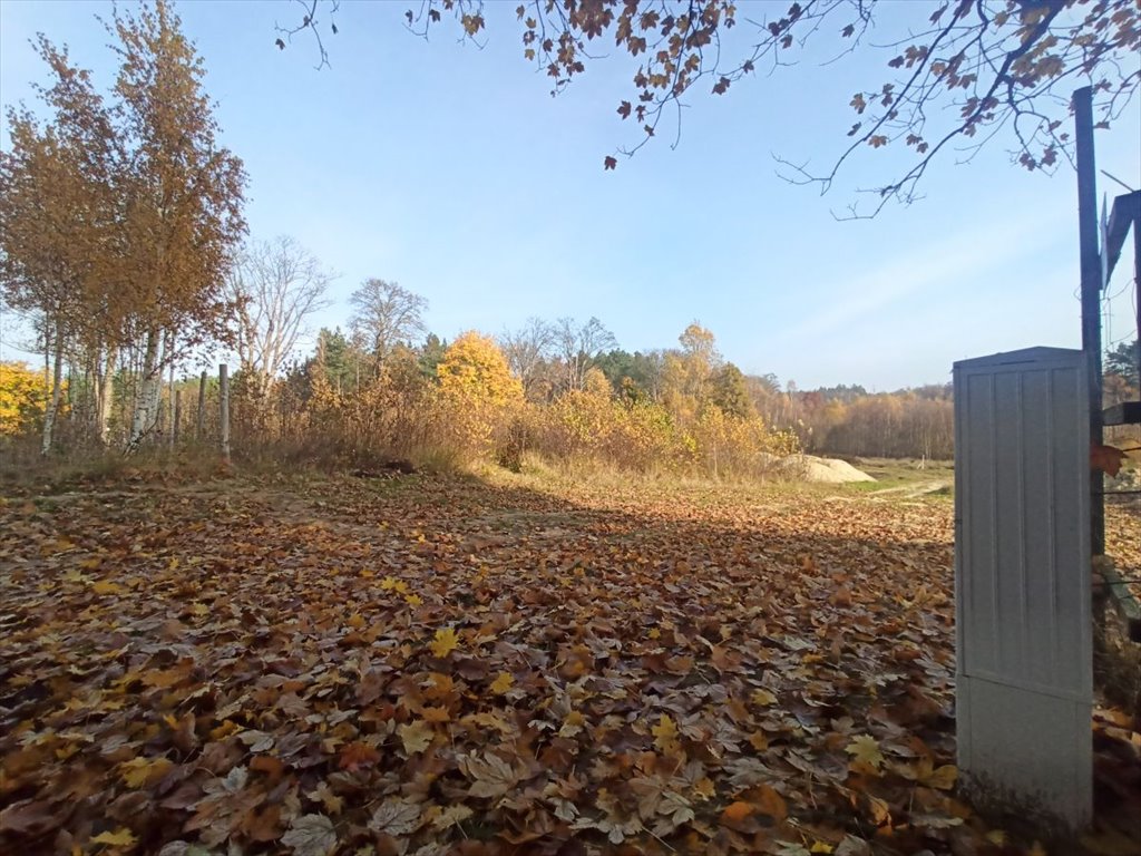 Działka budowlana na sprzedaż Leśniewo, Pucka  1 013m2 Foto 1