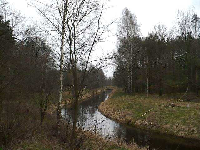 Działka gospodarstwo rolne na sprzedaż Roztoka  31 500m2 Foto 4