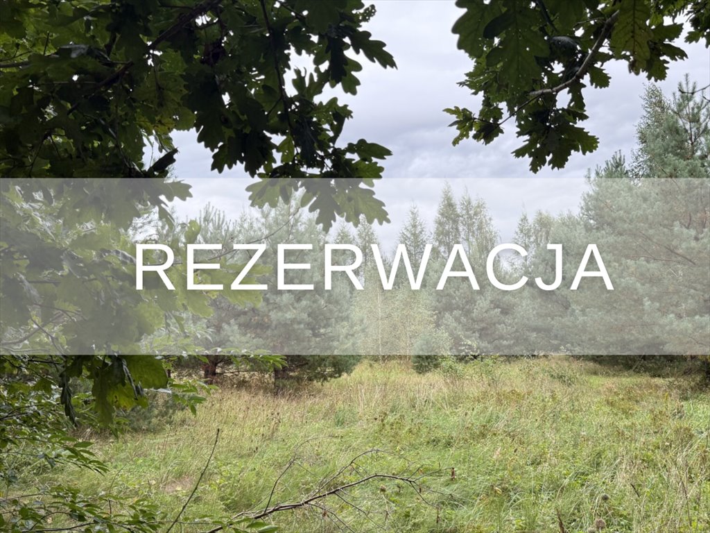 Na sprzedaż działka 5006 m² w Powałkach - idealna pod dom Powałki  5 006m2 Foto 1