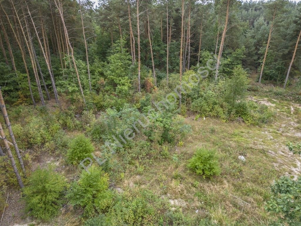 Działka budowlana na sprzedaż Adamowizna  1 600m2 Foto 3