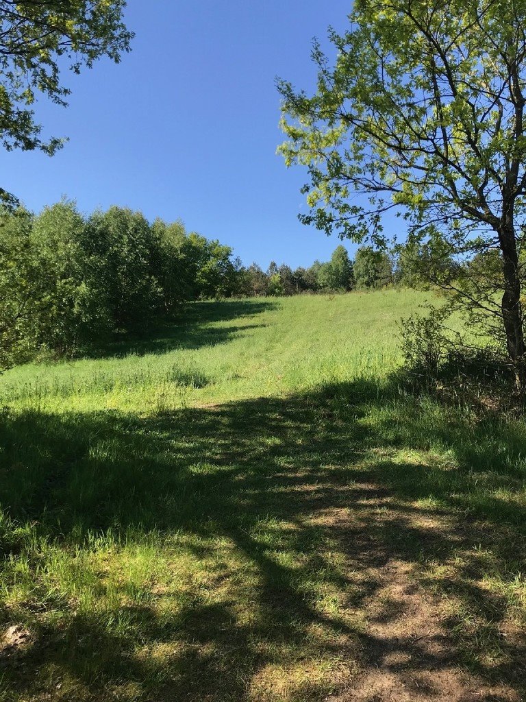 Działka budowlana na sprzedaż Przetoczyno  3 680m2 Foto 3